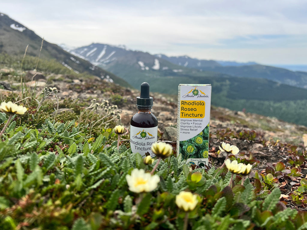 Rhodiola Rosea Tincture – Natural Stress & Energy Support (2 oz)