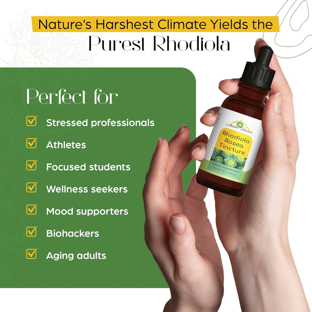 Rhodiola Rosea Tincture – Natural Stress & Energy Support (2 oz)